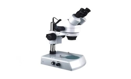 Microscope Stereoscopic