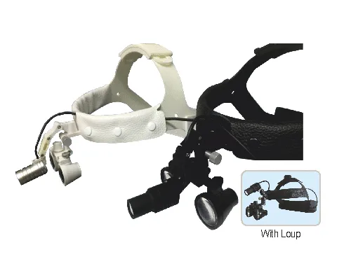 Head Lights 52-3101 BHL