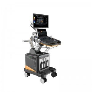 Cardiac Ultrasound Scan Machine